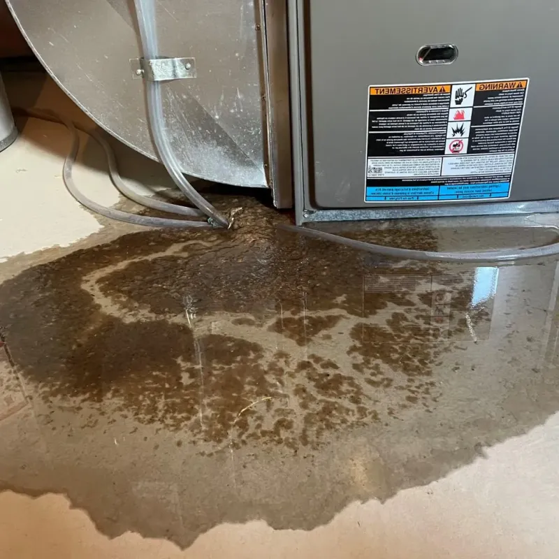 Pipe Burst and Leak Restoration in North Providence, RI